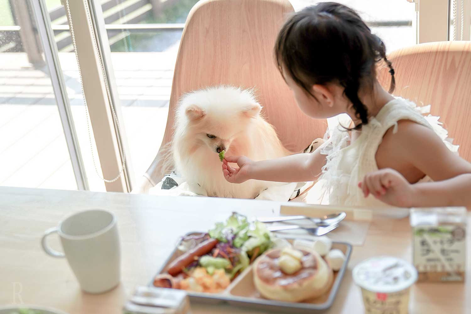 薄餅