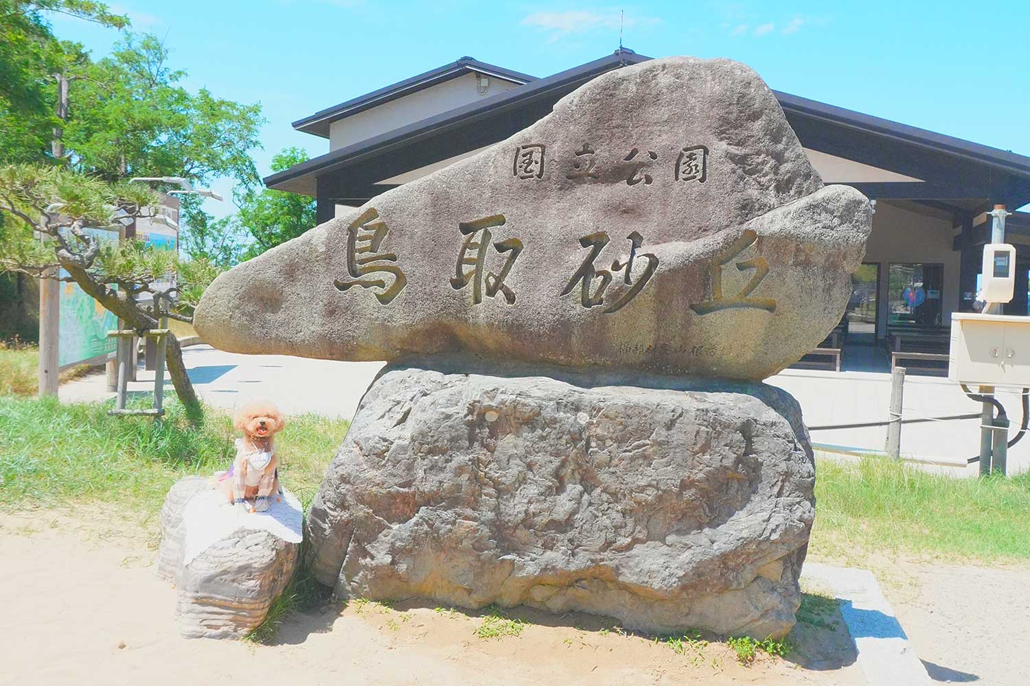 鳥取縣攜帶狗狗的觀光路線推薦！